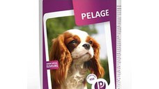 PET PHOS Pelage, supliment piele & blană câini, comprimate PET PHOS Pelage, M-XL, supliment piele & blană câini, cutie, 450 comprimate