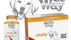PETWAY Vitality, XS-XL, supliment multivitamine, sistem imunitar & alergii câini, cutie, 100 comprimate
