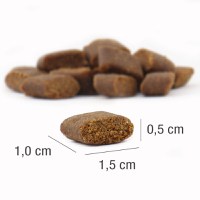 PLATINUM Adult, XS-XL, Miel, hrană uscată câini, semimoist, 5kg - 3
