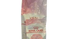 PROMO ROYAL CANIN Kitten Sterilised, hrană uscată pisici sterilizate junior, 2kg + 400g GRATUIT