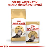 PROMO ROYAL CANIN Persian Adult, hrană uscată pisici, 2kg + 6 buc x 85g plic GRATUIT - 10