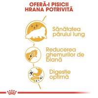 PROMO ROYAL CANIN Persian Adult, hrană uscată pisici, 2kg + 6 buc x 85g plic GRATUIT - 6