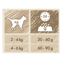 PURINA Cat Chow Adult, Somon, hrană uscată pentru pisici, 15kg - 3