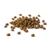 PURINA Cat Chow Sterilised, Pui, hrană uscată pentru pisici sterilizate, 15kg - 2