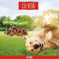 PURINA Friskies Adult Active, Vită, hrană uscată câini, activitate intensă, 15kg - 3