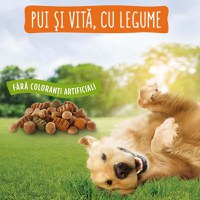 PURINA Friskies Adult Balance, Pui cu Legume, hrană uscată câini, 15kg - 5