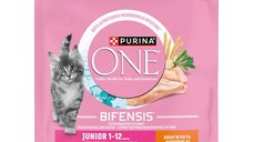 PURINA One Junior pentru Pisici - Hrană Uscată cu Pui, 750g
