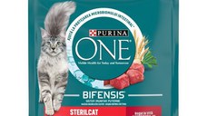 PURINA One Sterilcat, Vită cu Grâu, hrană uscată pisici sterilizate, 800g