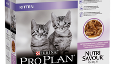 PURINA Pro Plan Nutrisavour Junior, Curcan, hrană umedă pisici junior, (în sos) PURINA Pro Plan Nutrisavour Junior, Curcan, pachet economic plic hrană umedă pisici junior, (în sos), 85g x 10