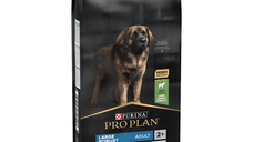 PURINA Pro Plan Robust Adult L Sensitive Digestion, Miel, hrană uscată câini, sensibilități digestive, 14kg