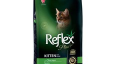REFLEX Plus Kitten, Pui, hrană uscată pisici junior, 15kg