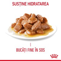 ROYAL CANIN Appetite Control Care Adult hrană umedă pisici reglarea apetitului (în sos), 85g - 4