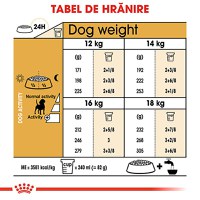 ROYAL CANIN Beagle Adult, hrană uscată câini, 3kg - 8