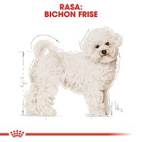 ROYAL CANIN Bichon Frise Adult, hrană uscată câini, 500g - 4