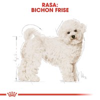 Royal Canin Bichon Frise Adult, hrană uscată câini, 500g - 8