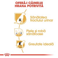 ROYAL CANIN Bichon Frise Adult, hrană uscată câini, 500g - 5