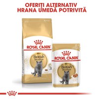 ROYAL CANIN British Shorthair Adult, hrană umedă pisici, (în sos), 85g - 7