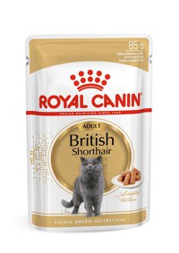 ROYAL CANIN British Shorthair Adult, hrană umedă pisici, (în sos), 85g - 2