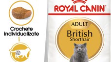 ROYAL CANIN British Shorthair Adult, hrană uscată pisici, 2kg