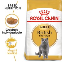 ROYAL CANIN British Shorthair Adult, hrană uscată pisici, 2kg - 1