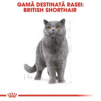 ROYAL CANIN British Shorthair Adult, hrană uscată pisici, 2kg - 4