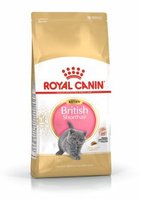 ROYAL CANIN British Shorthair Kitten, hrană uscată pisici junior, 400g - 3