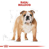 ROYAL CANIN Bulldog Adult, hrană uscată câini, 12kg - 4