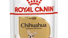 ROYAL CANIN Chihuahua Adult, hrană umedă câini, (pate), 85g