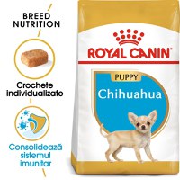 Royal Canin Chihuahua Puppy, hrană uscată câini juniori, 1.5kg - 1