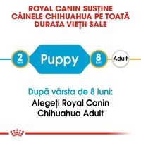 Royal Canin Chihuahua Puppy, hrană uscată câini juniori, 1.5kg - 4