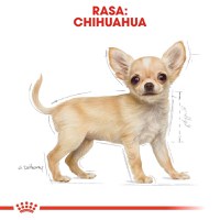 Royal Canin Chihuahua Puppy, hrană uscată câini juniori, 1.5kg - 8