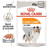 ROYAL CANIN Coat Care Adult, hrană umedă câini, blană sănătoasă și lucioasă, (pate), bax, 85g x 12buc - 1