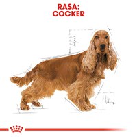 ROYAL CANIN Cocker Adult, hrană uscată câini, 3kg - 4
