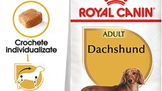 ROYAL CANIN Dachshund Adult, hrană uscată câini, 1.5kg