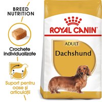ROYAL CANIN Dachshund Adult, hrană uscată câini, 1.5kg - 1