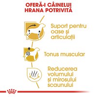 ROYAL CANIN Dachshund Adult, hrană uscată câini, 1.5kg - 5