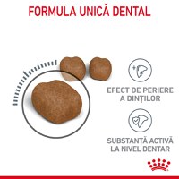 ROYAL CANIN Dental Care Adult, hrană uscată pisici, reducerea formării tartrului, 400g - 4