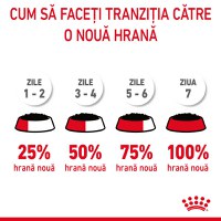 ROYAL CANIN Digest Sensitive Care Adult, hrană umedă pisici, confort digestiv, (în sos), 85g - 7