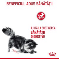 Royal Canin Digestive Care Adult, hrană uscată pisici, confort digestiv ROYAL CANIN Feline Care Nutrition Digestive Care, hrană uscată pisici, confort digestiv, 2kg - 12