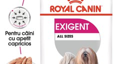 ROYAL CANIN Exigent Adult hrană umedă câini apetit capricios (pate), bax, 85g x 12buc