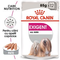 ROYAL CANIN Exigent Adult hrană umedă câini apetit capricios (pate), bax, 85g x 12buc - 1