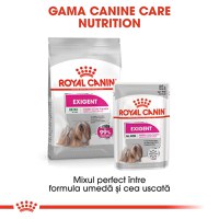 ROYAL CANIN Exigent Adult hrană umedă câini apetit capricios (pate), bax, 85g x 12buc - 9