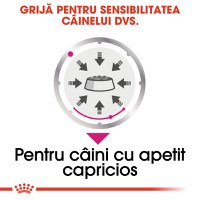 ROYAL CANIN Exigent Adult hrană umedă câini apetit capricios (pate), bax, 85g x 12buc - 5