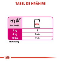 ROYAL CANIN Exigent Adult hrană umedă câini apetit capricios (pate), bax, 85g x 12buc - 8