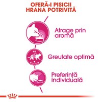 ROYAL CANIN Exigent Aroma Adult hrană uscată pisici apetit capricios, 2kg - 4