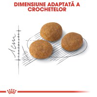 ROYAL CANIN Exigent Aroma Adult hrană uscată pisici apetit capricios, 2kg - 5