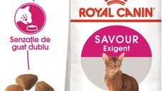 ROYAL CANIN Exigent Savour Adult, hrană uscată pisici, apetit capricios, 400g