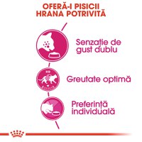 ROYAL CANIN Exigent Savour Adult, hrană uscată pisici, apetit capricios, 400g - 4