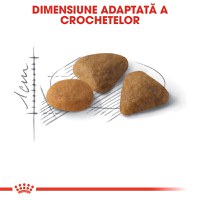 ROYAL CANIN Exigent Savour Adult, hrană uscată pisici, apetit capricios, 400g - 5