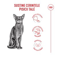ROYAL CANIN Feline Health Nutrition Fussy, hrană uscată pisici, apetit capricios, 2kg - 4